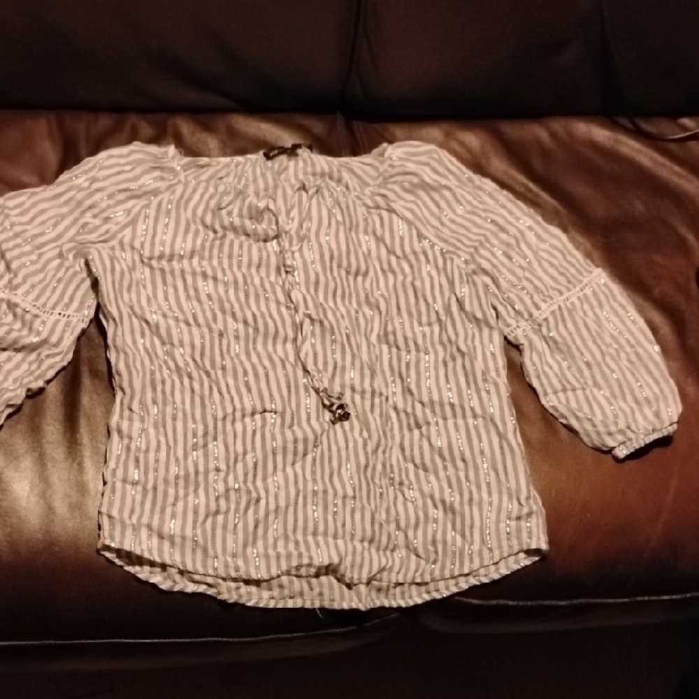 Adrienne Vittadini Silver Striped Blouse